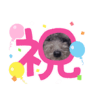 春のめいちゃんスタンプ（個別スタンプ：1）