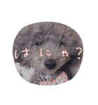 春のめいちゃんスタンプ（個別スタンプ：2）