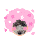 春のめいちゃんスタンプ（個別スタンプ：3）