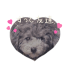 春のめいちゃんスタンプ（個別スタンプ：6）