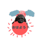 黒豆さんのスタンプ2（個別スタンプ：2）