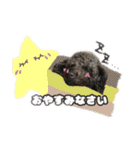 黒豆さんのスタンプ2（個別スタンプ：7）