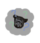 黒豆さんのスタンプ2（個別スタンプ：8）