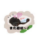 黒豆さんのスタンプ2（個別スタンプ：9）