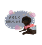 黒豆さんのスタンプ2（個別スタンプ：11）