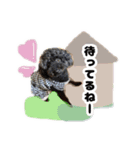 黒豆さんのスタンプ2（個別スタンプ：13）
