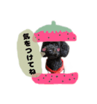 黒豆さんのスタンプ2（個別スタンプ：16）