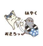 ネコとハト2（個別スタンプ：1）