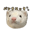 おもち先輩スタンプ（個別スタンプ：2）