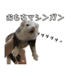 おもち先輩スタンプ（個別スタンプ：12）