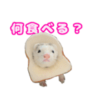 おもち先輩スタンプ（個別スタンプ：15）