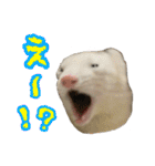 おもち先輩スタンプ（個別スタンプ：16）