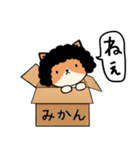 ねこねこ母ちゃん2〜子供へおくる編（個別スタンプ：25）