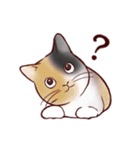 いつも通りのネコ【再】（個別スタンプ：3）