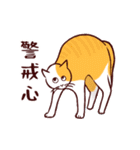 いつも通りのネコ【再】（個別スタンプ：11）