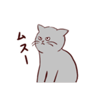 いつも通りのネコ【再】（個別スタンプ：13）