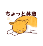 いつも通りのネコ【再】（個別スタンプ：20）