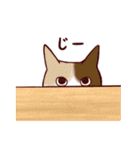いつも通りのネコ【再】（個別スタンプ：22）