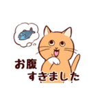 いつも通りのネコ【再】（個別スタンプ：24）