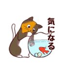 いつも通りのネコ【再】（個別スタンプ：26）