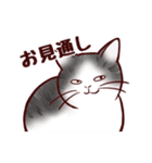 いつも通りのネコ【再】（個別スタンプ：29）