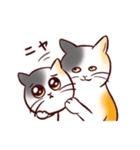 いつも通りのネコ【再】（個別スタンプ：34）