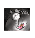 いつも通りのネコ【再】（個別スタンプ：36）