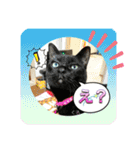チーム黒猫と仲間たち②♪（個別スタンプ：2）