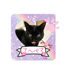 チーム黒猫と仲間たち②♪（個別スタンプ：4）