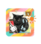 チーム黒猫と仲間たち②♪（個別スタンプ：6）