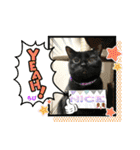 チーム黒猫と仲間たち②♪（個別スタンプ：7）