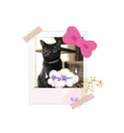 チーム黒猫と仲間たち②♪（個別スタンプ：9）