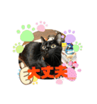 チーム黒猫と仲間たち②♪（個別スタンプ：11）