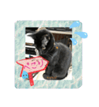 チーム黒猫と仲間たち②♪（個別スタンプ：12）