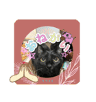 チーム黒猫と仲間たち②♪（個別スタンプ：16）