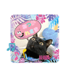 チーム黒猫と仲間たち②♪（個別スタンプ：17）