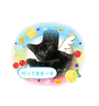 チーム黒猫と仲間たち②♪（個別スタンプ：22）
