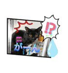 チーム黒猫と仲間たち②♪（個別スタンプ：23）