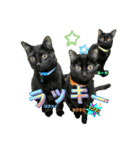 チーム黒猫と仲間たち②♪（個別スタンプ：27）