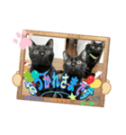 チーム黒猫と仲間たち②♪（個別スタンプ：28）