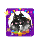 チーム黒猫と仲間たち②♪（個別スタンプ：29）