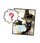 チーム黒猫と仲間たち②♪（個別スタンプ：30）