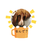 チーム黒猫と仲間たち②♪（個別スタンプ：38）