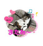 チーム黒猫と仲間たち②♪（個別スタンプ：39）