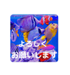 つぶやく海水魚たっぷり40アイテム（個別スタンプ：2）