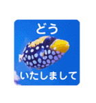 つぶやく海水魚たっぷり40アイテム（個別スタンプ：7）