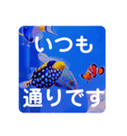 つぶやく海水魚たっぷり40アイテム（個別スタンプ：34）