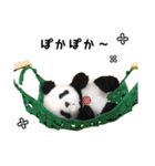 上野に春がきた！（個別スタンプ：3）