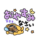 pomeranian kaikunkun（個別スタンプ：11）