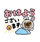 pomeranian kaikunkun（個別スタンプ：14）